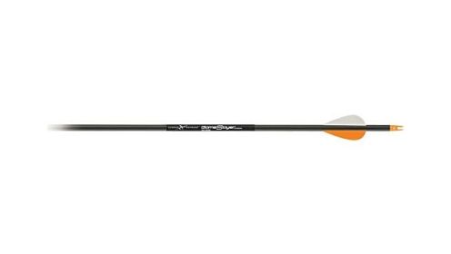 CARBON EXPRESS ARROW GAME