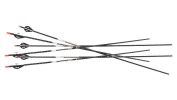 EASTON ARROW FMJ 5MM 400