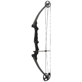 Genesis Bow Carbon RH.