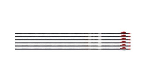 EASTON ARROW 5MM FMJ 300 W/ HO