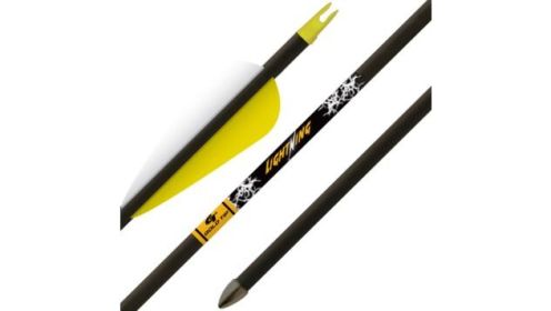 GOLD TIP ARROW LIGHTNING YOUTH