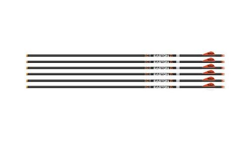 EASTON ARROW 6.5MM HUNTER CLSC (Option: 300 W/2" BULLY VANES 6-PACK)