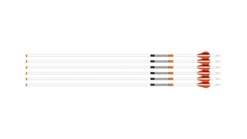 EASTON ARROW 6.5MM WHITEOUT (Option: 340 W/2" BULLY VANES 6-PACK)