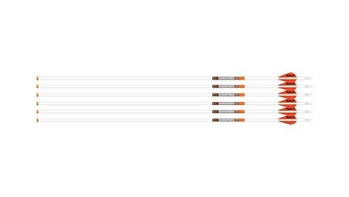 EASTON ARROW 6.5MM WHITEOUT (Option: 300 W/2" BULLY VANES 6-PACK)