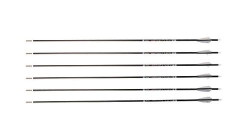 CARBON EXPRESS ARROW PREDATOR (Option: AIR 300 2" Q2i VANES 6PK)